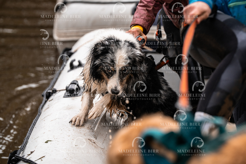 madeleinebirr-fotografie2025.campcanis.9-10Uhr-103 | hundefotografie-birr