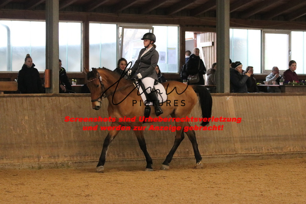 IMG_3656 | lmwpictures - Realisiert mit Pictrs.com