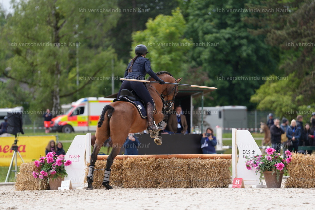 PI26_ST_SP_JansPictures7C_08802.JPG | working equitationturnier fotograf videograf stoibphotography marixx film working equitation deutschland reitsport turnierfotografie eventfotografie equestrian events