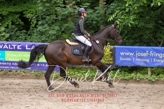 DKP44955 | Turniersportfotografie; Pferdefotografie; Dressurfotografie