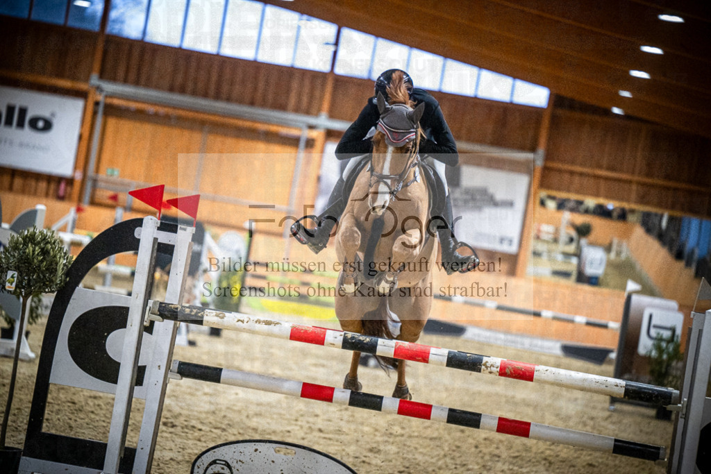DOS_2586 | Entdecke hochwertige Reitturnierfotos von Foto Oger. Professionell, emotional und authentisch – jetzt Lieblingsmomente im Shop bestellen.Deutschlandweite Turnierfotografie. - Realisiert mit Pictrs.com