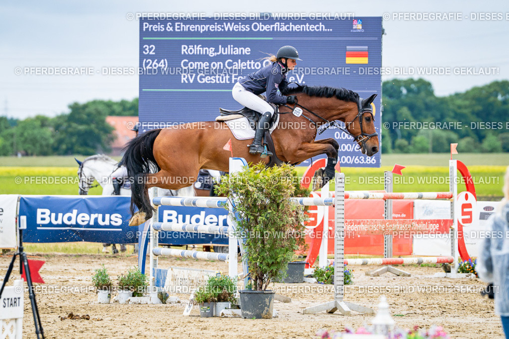 DSC04349 | Pferdegrafie