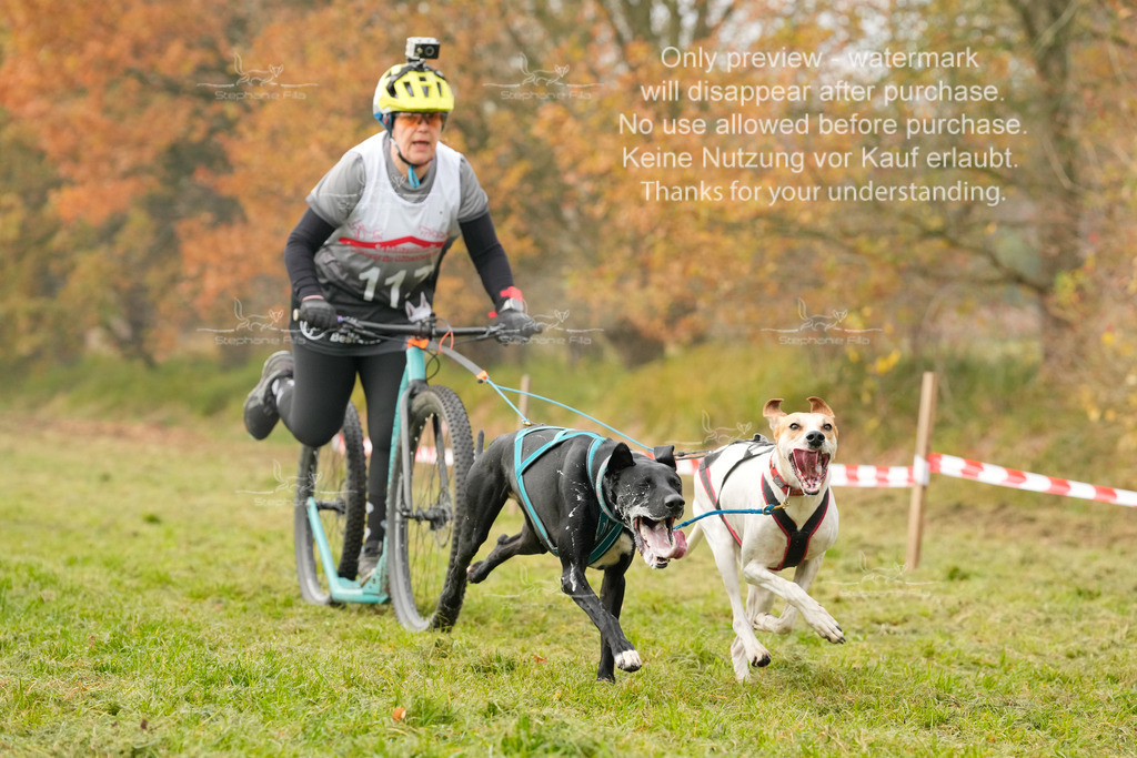 Visbeck_Sa_DS2DR2-118 | stephaniefillaphotographie - Realisiert mit Pictrs.com