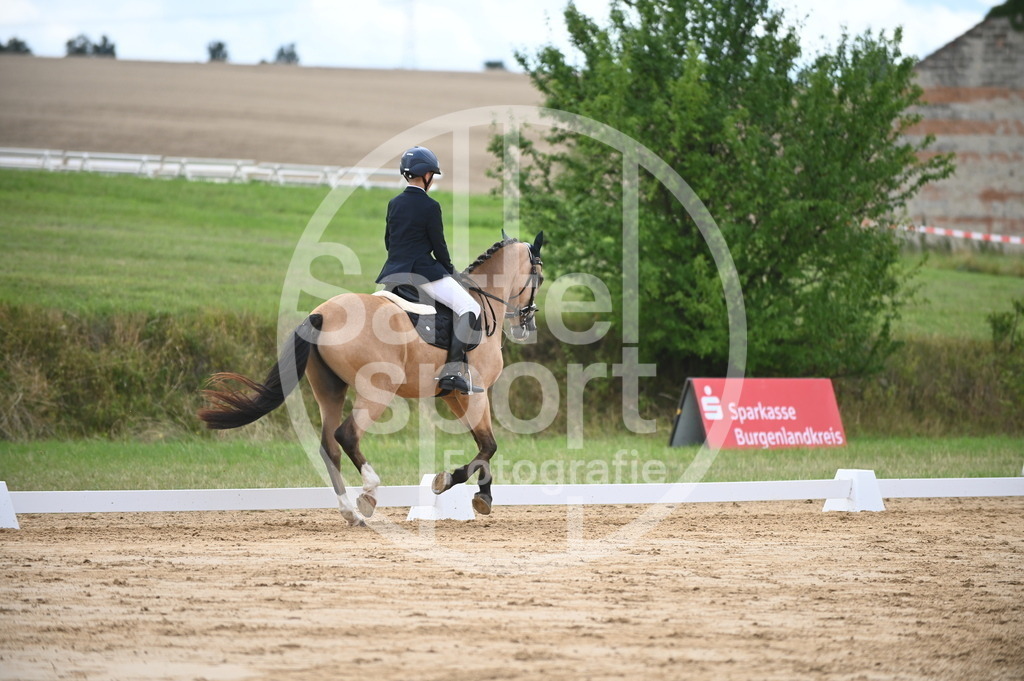 DSC_6283 | sattelsport - Realisiert mit Pictrs.com