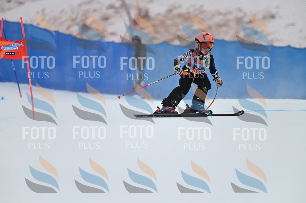 BGV_1752 | holidayphoto