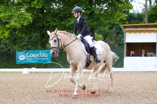 DKP42054 | Turniersportfotografie; Pferdefotografie; Dressurfotografie