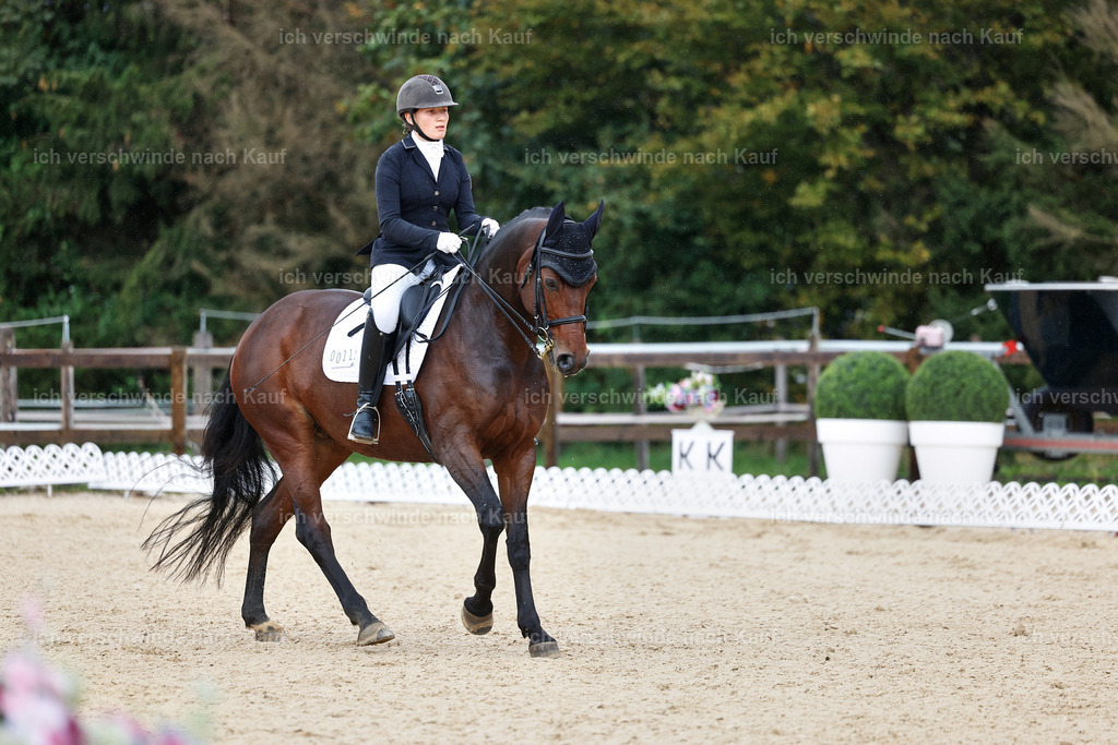 05-011-DRESSUR M_  -StoibPH-4896 | working equitationturnier fotograf videograf stoibphotography marixx film working equitation deutschland reitsport turnierfotografie eventfotografie equestrian events