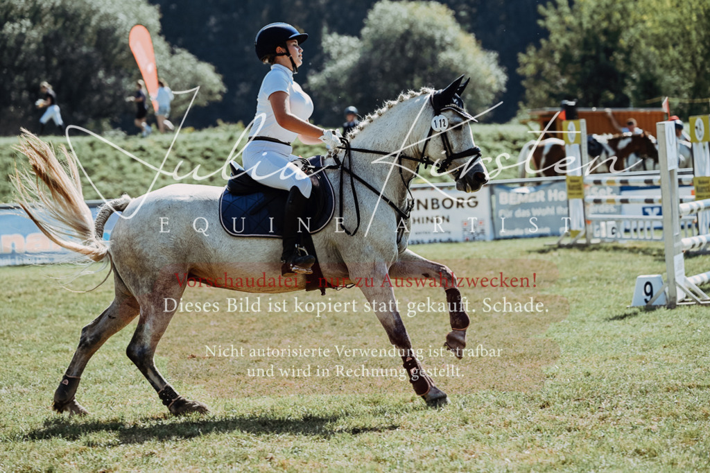 DSC_6120 | Pferde- und Turnierfotografie in Westsachsen. Pferdeportraits, Auftragszeichnungen und intuitive Kunst.