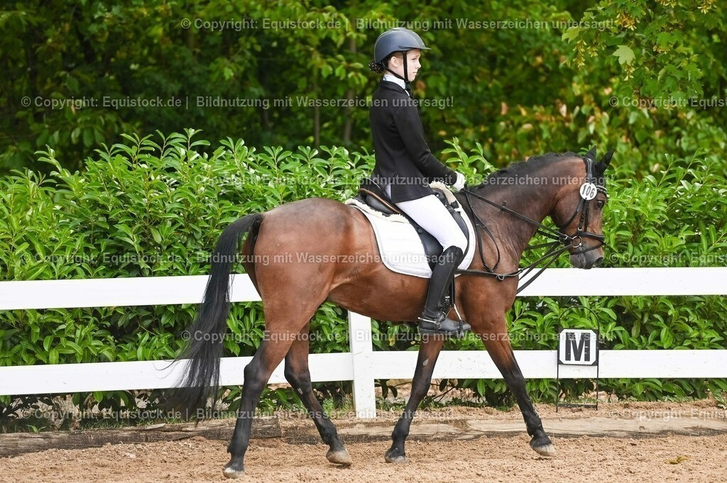20230716_10-2_Reiter-WB Schritt - Trab - Galopp_0094 | equistock