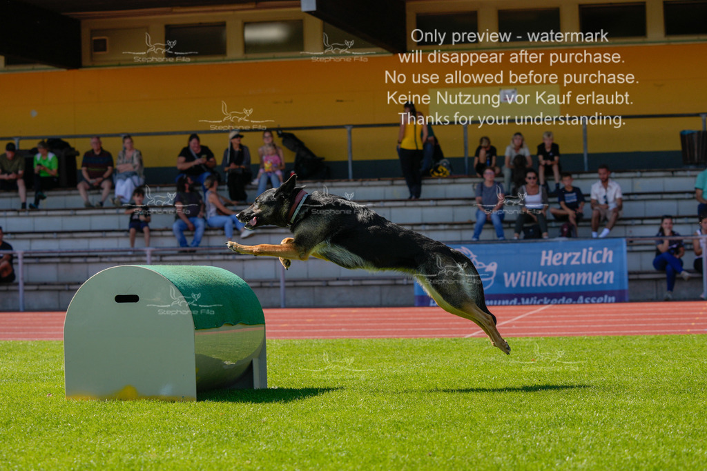 Sonntag_VK Hindernis (350 von 671) | stephaniefillaphotographie - Realisiert mit Pictrs.com