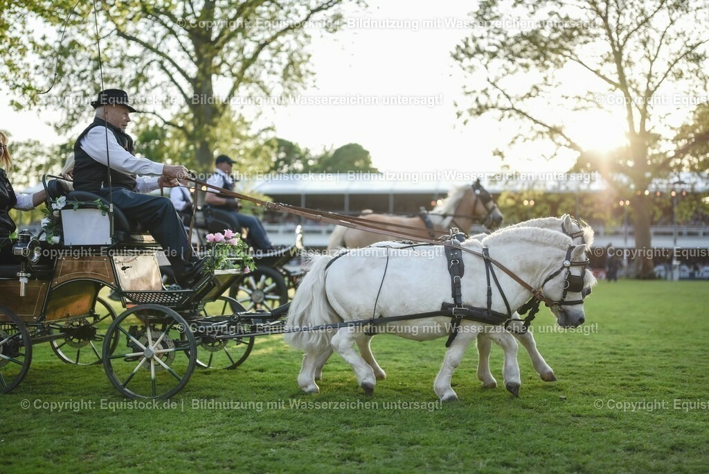 20230526_Pferdenacht_0102 | equistock