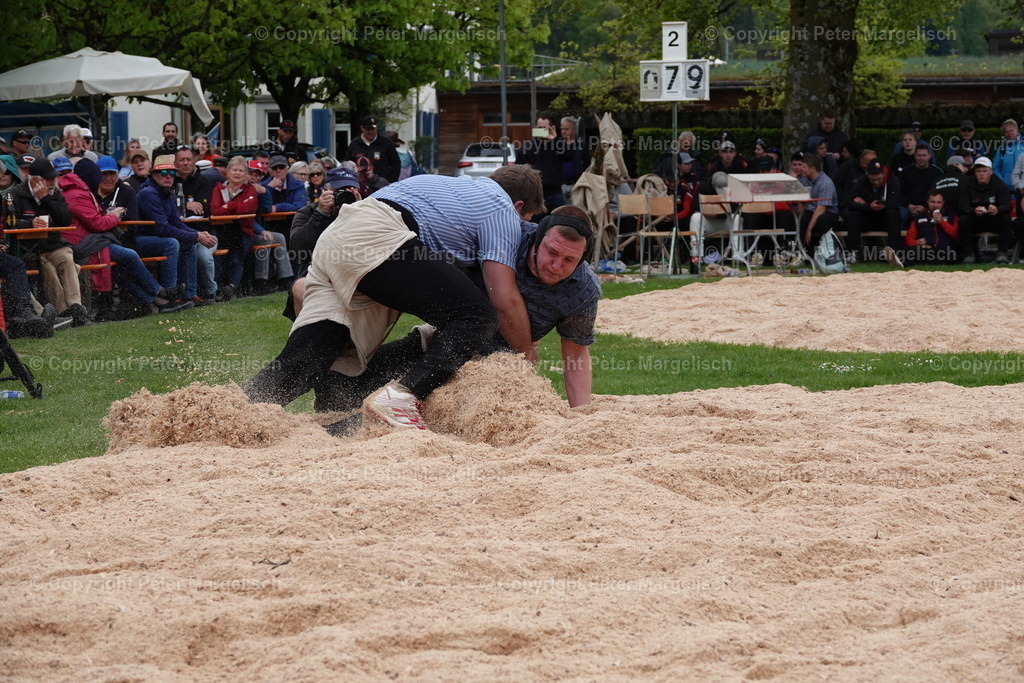 DSC00589 | Schwingen - Realisiert mit Pictrs.com