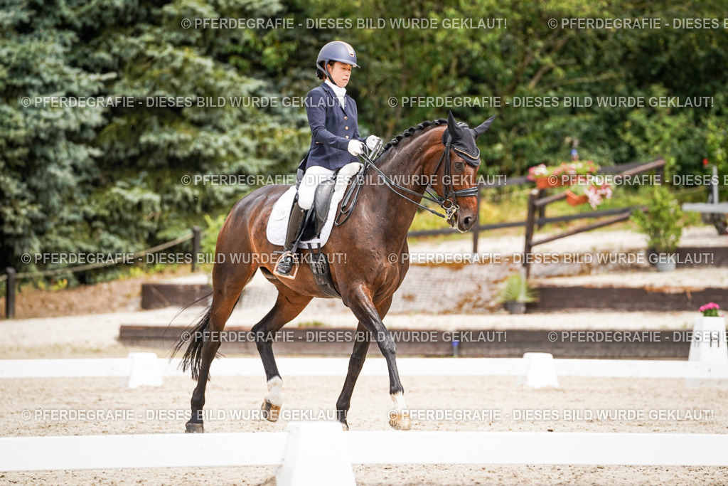 DSC05521 | Pferdegrafie