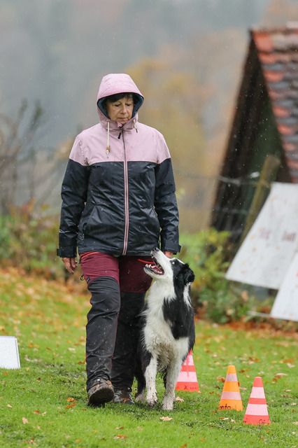 2025_Rally_Obedience_SM-119 | Ich fotografiere Hundeausstellungen, Sportanlässe, Zuchtstätten, Hundezucht, Hundeportrait, Lagotto - Realisiert mit Pictrs.com