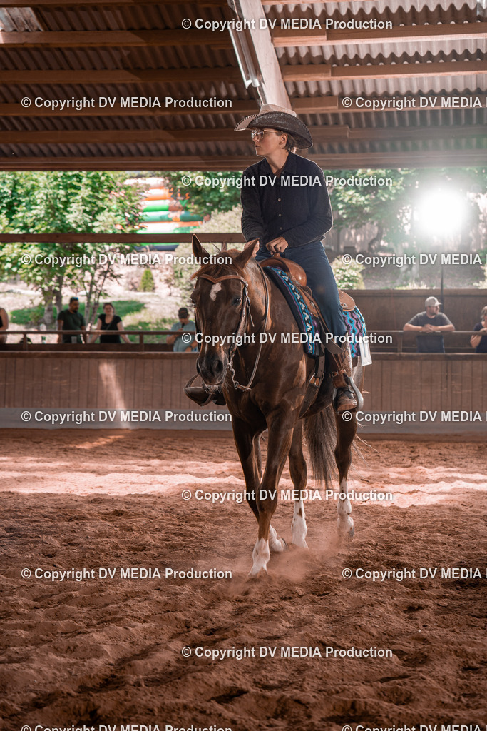 NE100533 | dv-media-shop - Realisiert mit Pictrs.com