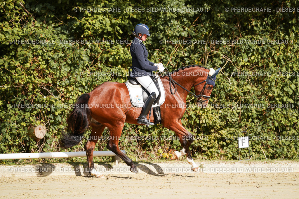 DSC07589 | Pferdegrafie