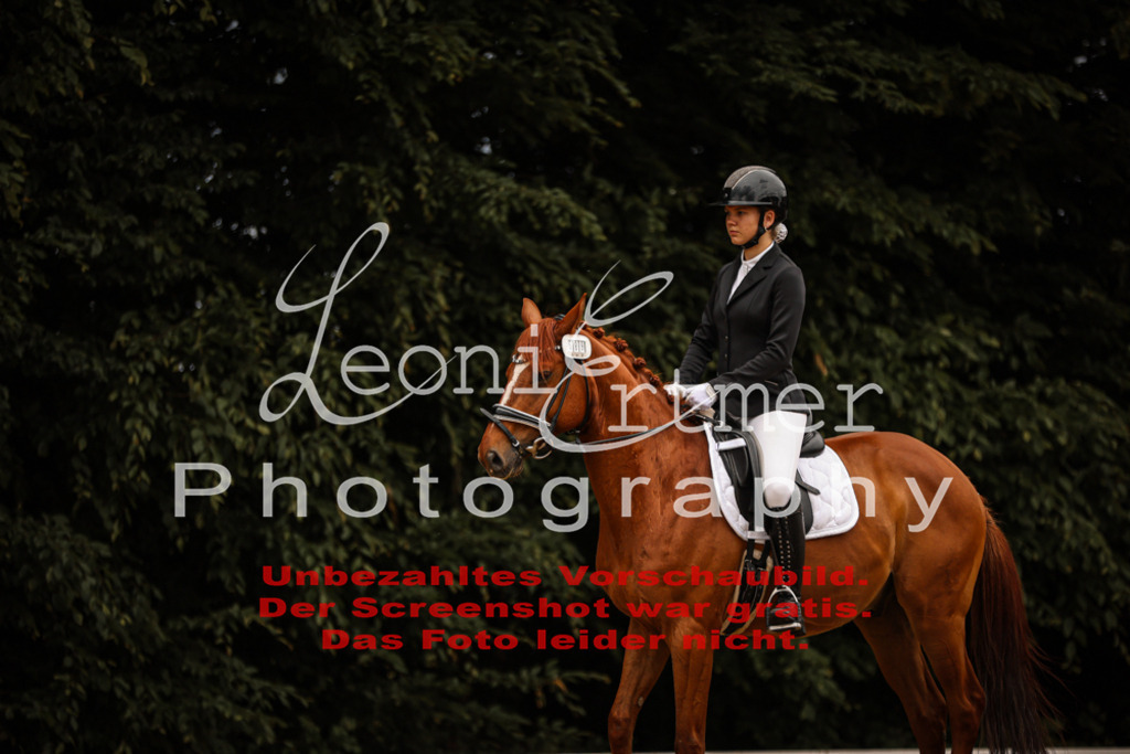 DoDrE00236 | Leoni Ertmer Photography - Realisiert mit Pictrs.com