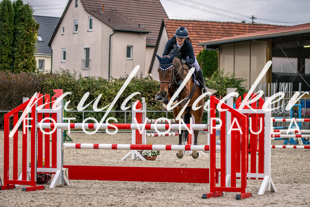 IMG_6072 | Erleben Sie dynamische Sport- und emotionale Tierfotografie in Süddeutschland mit Fotos von Paula. Spezialisiert auf Pferde- und Hundefotografie sowie Sportevents. Kontaktieren Sie mich für einzigartige und ausdrucksstarke Bilder Ihrer besonderen Momente.