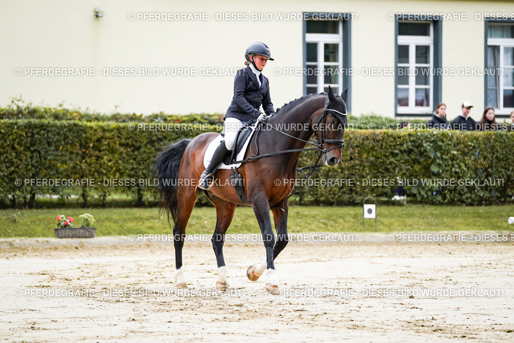 DSC04691 | Pferdegrafie