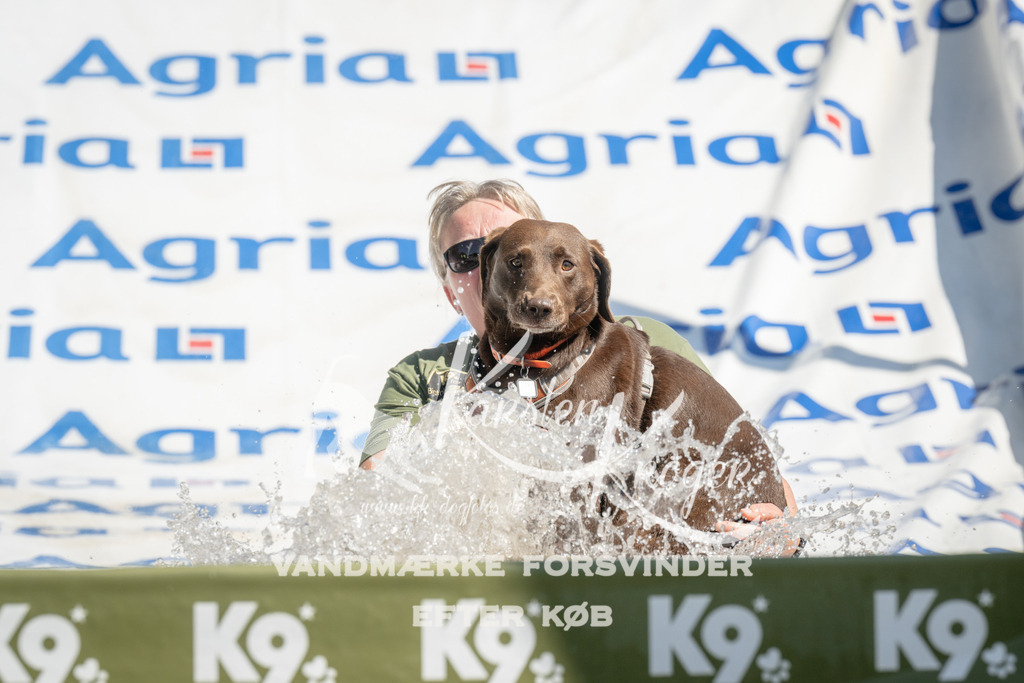 1221_ZZ96318 | kk-dogfotos