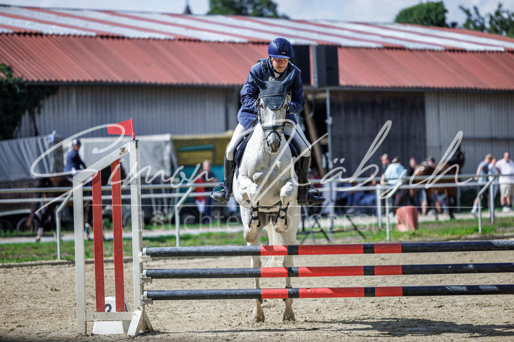 20260905-_3LI8549 | Tierfotografie Pferde, Hunde, Katzen, Haustiere.
Turnierfotografie Reitturniere, Reiten, Springreiten, Dressur in Hanau, dem Main-Kinzig-Kreis und dem Rhein-Main- Gebiet um Frankfurt