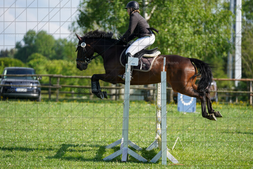 20240509-FAH02981 | Fotos von dem Turnier in Bayern, Landsberg am Lech, Reitsportbilder, Turnierfotografen Bayern, Fotoagentur Herrmann, Springreiten, Reitsportfotograf, Pferdefotograf, Turnierbilder