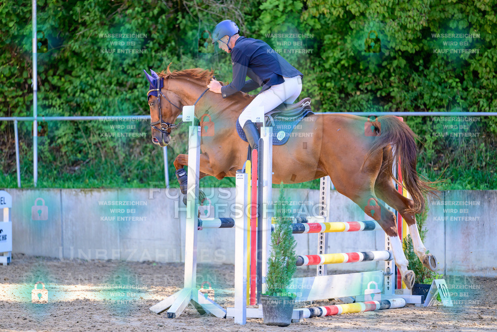 29082026-Giesenbach-Prfg10-0140 | Fokus Hufschlag Fotografie - Realisiert mit Pictrs.com