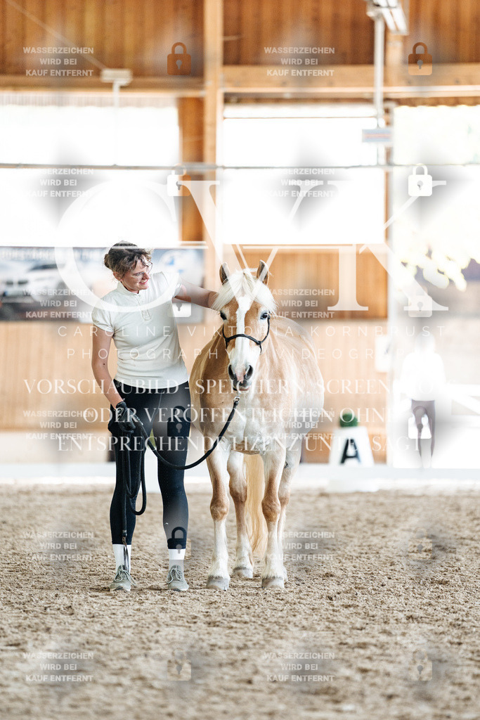 CK907906 | Turnierfotografie Pferdefotografie Trier Rheinland-Pfalz Pferdesport Reitsport Tierfotografie Sportfotografie Pferdevideo Pferdevideografie Equestrianvideography equestrianphotography  - Realisiert mit Pictrs.com