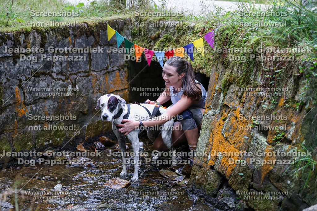 Dog Paparazzi -  TH 26-546 | Dog Paparazzi Jeanette Grottendiek Fotografie & Videografie - Realisiert mit Pictrs.com