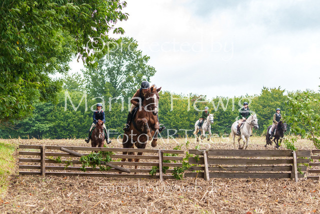 Jagd Kletkamp 26-03071_MarinaHewig | Fotografie, FotoArt, PferdesportArt, Pferdesportfotografie, Landschaftsfotografie, Reisefotografie, Reise, Pferde - Realisiert mit Pictrs.com