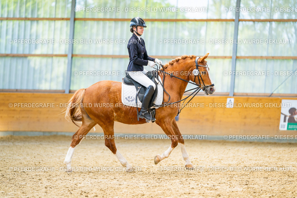 DSC08601 | Pferdegrafie