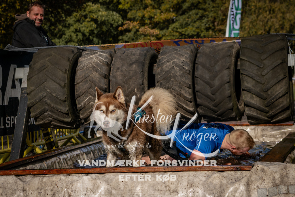 1346_ZZ92941 | kk-dogfotos