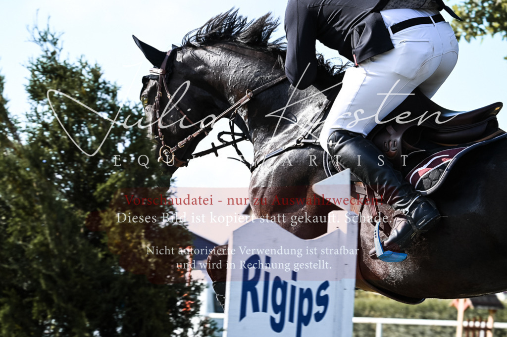 DSC_7536 | Pferde- und Turnierfotografie in Westsachsen. Pferdeportraits, Auftragszeichnungen und intuitive Kunst.