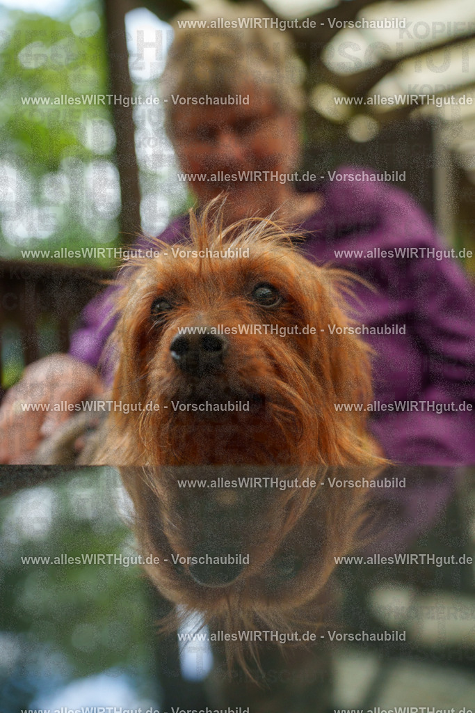@allesWIRTHgut_Tierfotografie - www.allesWIRTHgut.de - 111524-7R508437 | Professionelle Tierfotografie in Mönchengladbach von Daniel Wirth (allesWIRTHgut). Liebevolle & natürliche Bilder von Hunden & Katzen für unvergessliche Erinnerungen.