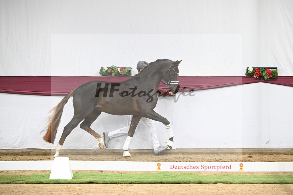 Kat-Nr. 126 Va Bene x Fuerst Jazz_Johannes Gaab_47254178 | hf-fotografie - Realisiert mit Pictrs.com