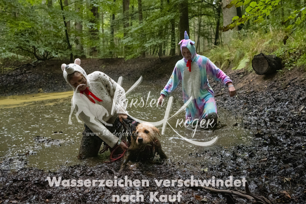0917_ZZ90239-Bearbeitet | kk-dogfotos