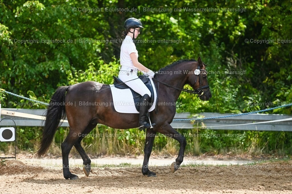 20230715_09_Dressur-WB_0210 | equistock