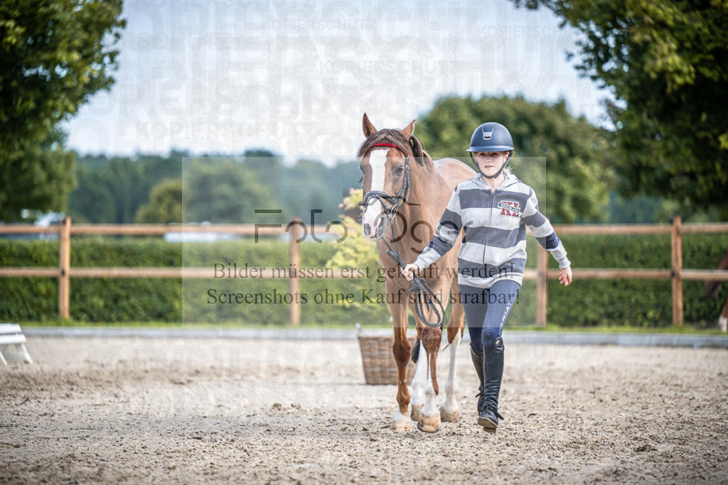 DOS_1993 | Entdecke hochwertige Reitturnierfotos von Foto Oger. Professionell, emotional und authentisch – jetzt Lieblingsmomente im Shop bestellen.Deutschlandweite Turnierfotografie. - Realisiert mit Pictrs.com