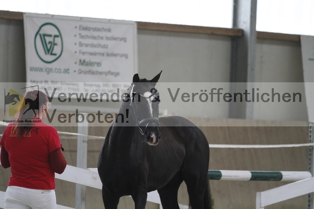 _MG_9638 | equestrian-live-com