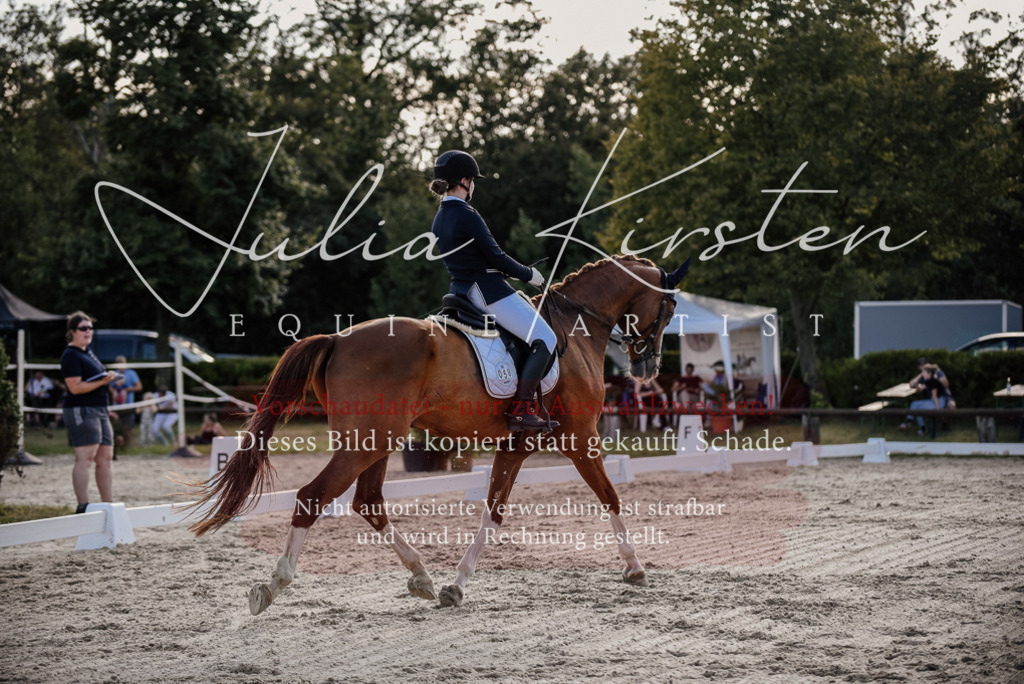 DSC_0511 | Pferde- und Turnierfotografie in Westsachsen. Pferdeportraits, Auftragszeichnungen und intuitive Kunst.