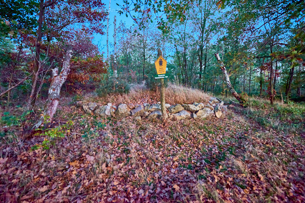 Die Hügelgräber im Mammbachschen Holz 01 | Bedeutsame Landschaften Deutschlands - Realisiert mit Pictrs.com