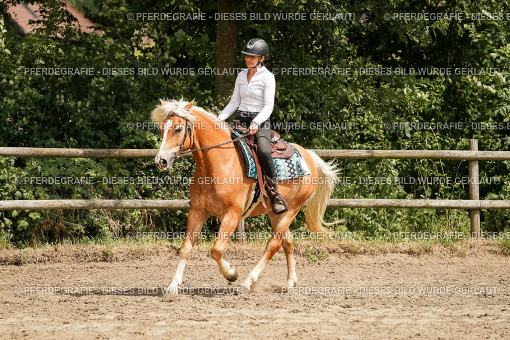 DSC00357 | Pferdegrafie