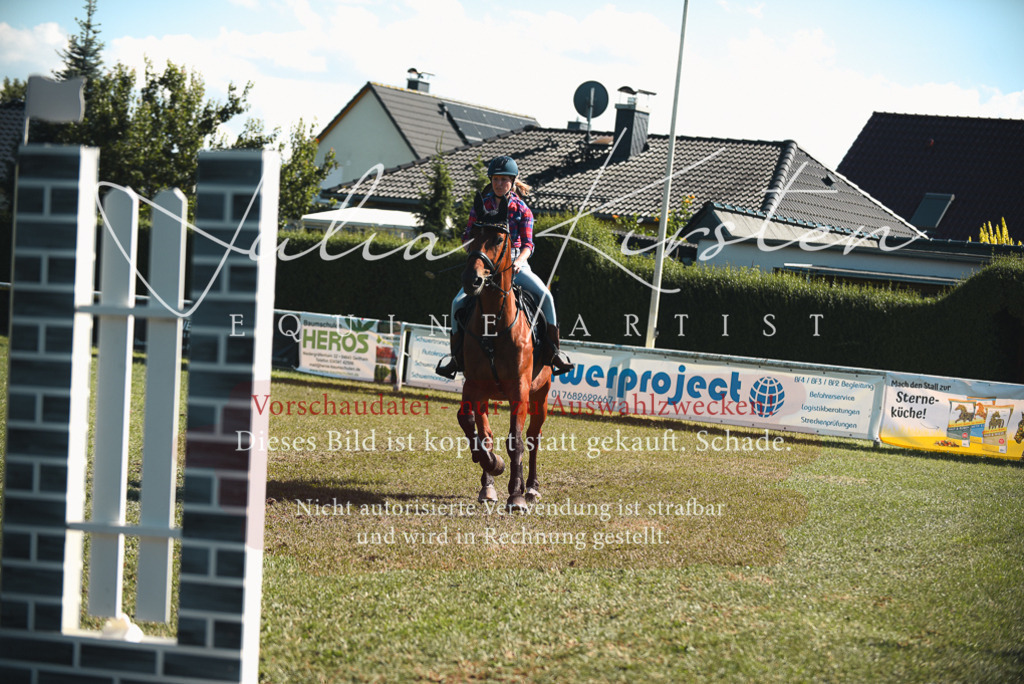 DSC_7724 | Pferde- und Turnierfotografie in Westsachsen. Pferdeportraits, Auftragszeichnungen und intuitive Kunst.