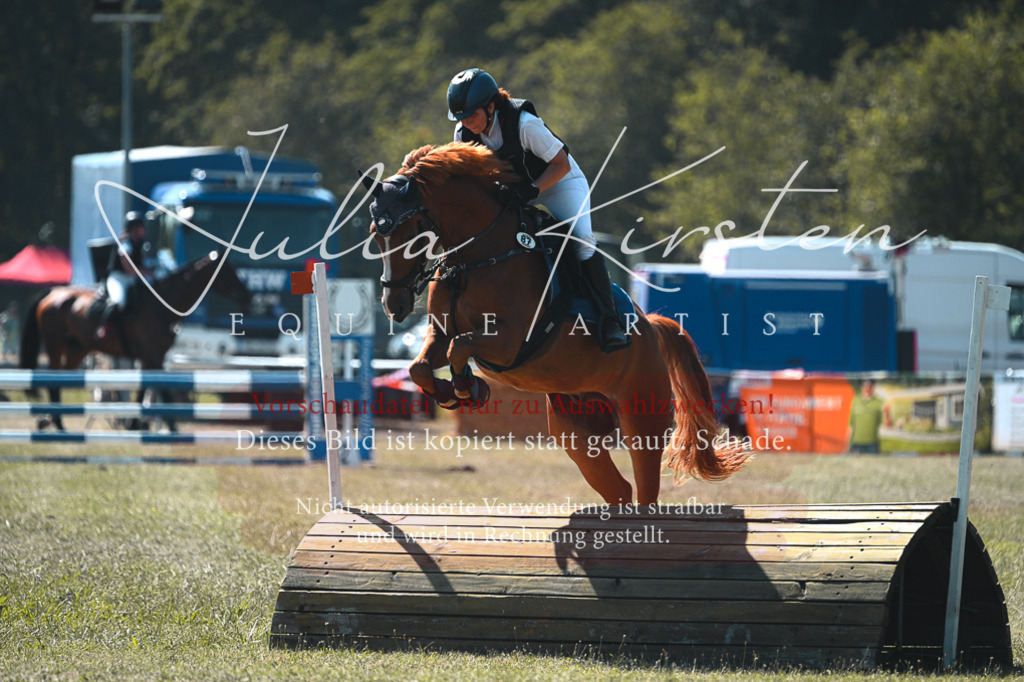 DSC_8317 | Pferde- und Turnierfotografie in Westsachsen. Pferdeportraits, Auftragszeichnungen und intuitive Kunst.