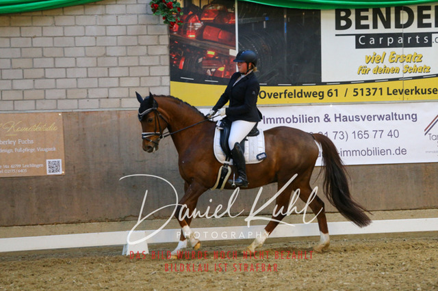 IMG_2965 | Turnierfotos kaufen im Webshop von Daniel Kuhl Photography – entdecke professionelle Reitsportfotos aus Turnieren & Events. Hochwertige Turnierbilder online bestellen & sichern. Jetzt Fotos von Reitsportturnieren kaufen!