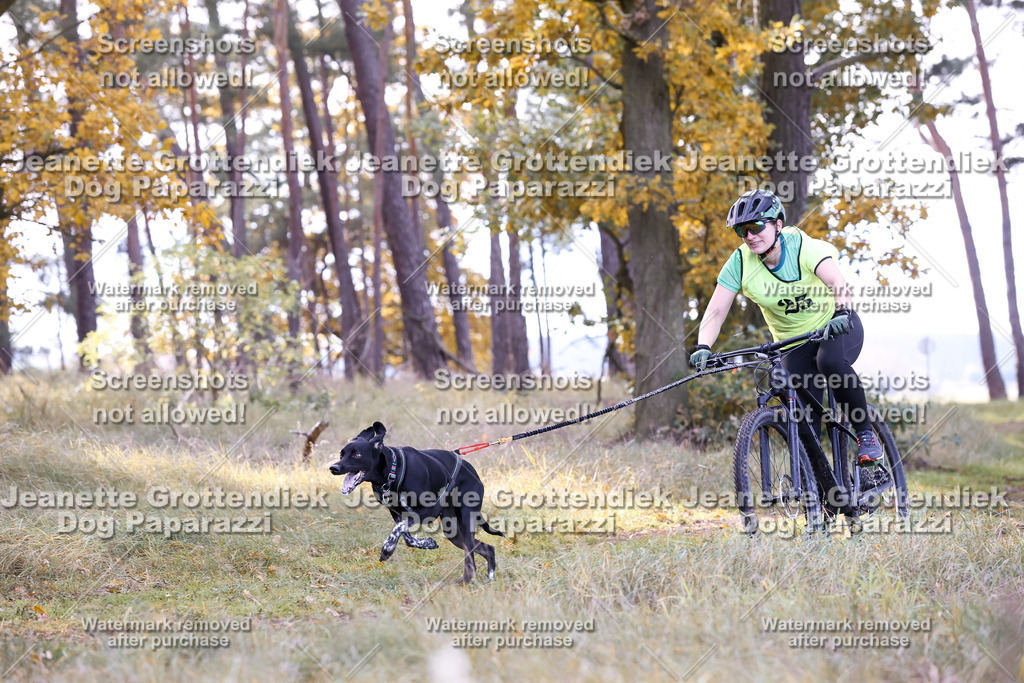 Dog Paparazzi - Elsholz 25 -117 | Dog Paparazzi Jeanette Grottendiek Fotografie & Videografie - Realisiert mit Pictrs.com