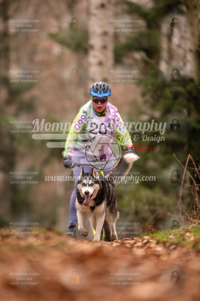 AKM_ST_2023_SAM_Scooter-98 | mompixphotography