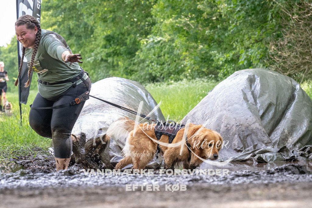 1242_ZZ93180 | kk-dogfotos