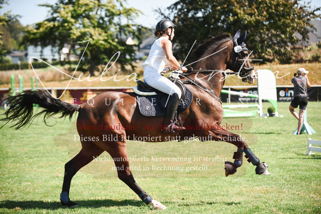 DSC_2866 | Pferde- und Turnierfotografie in Westsachsen. Pferdeportraits, Auftragszeichnungen und intuitive Kunst.