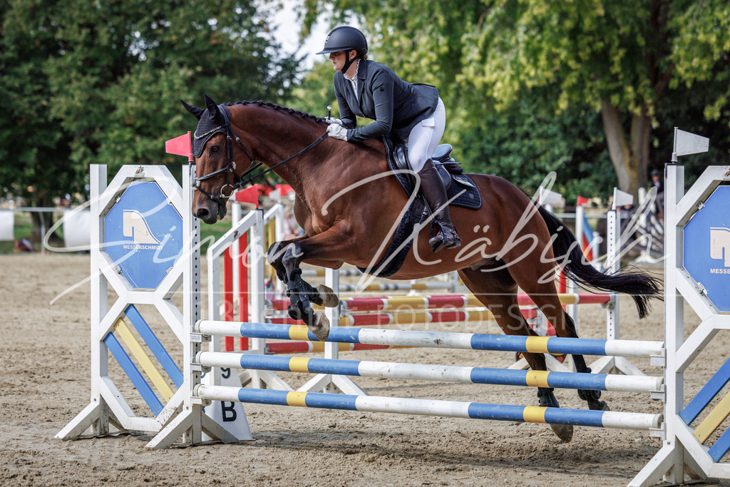 20260905-_3LI9076 | Tierfotografie Pferde, Hunde, Katzen, Haustiere.
Turnierfotografie Reitturniere, Reiten, Springreiten, Dressur in Hanau, dem Main-Kinzig-Kreis und dem Rhein-Main- Gebiet um Frankfurt